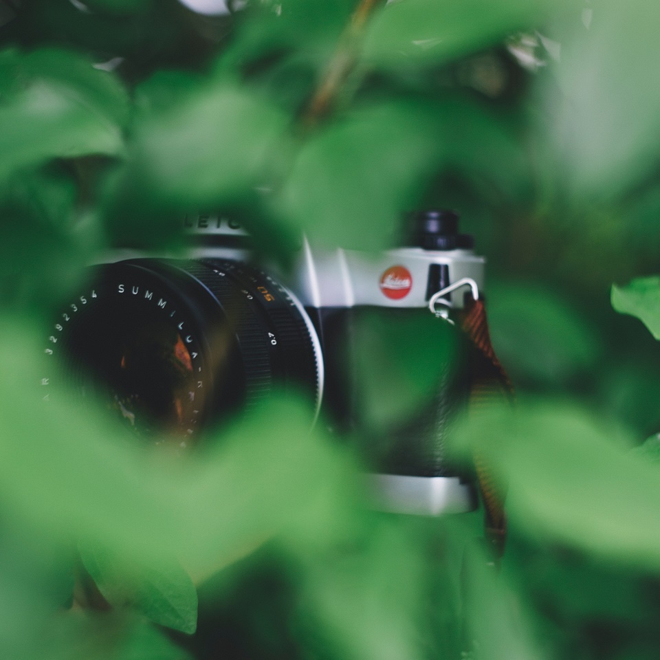 ストーカー調査